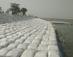 Shaping the Landscape: Geo Bags in Erosion Control and Land Reclamation
